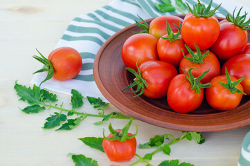 new harvest. fresh cherry tomatoes in bowl on wooden background. harvesting, autumn, thanksgiving.