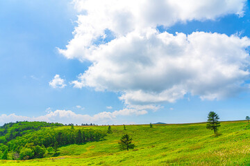 【長野県 美ヶ原】雲上の高原風景