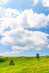 【長野県 美ヶ原】雲上の高原風景