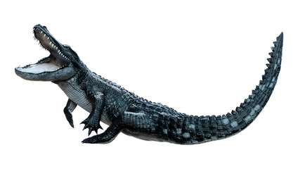 3D Rendering Black Alligator on White