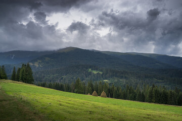 Fototapeta na wymiar Mountain landscape with mowed grass, haystacks and dark rain clouds