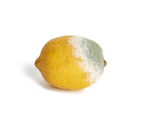 yellow lemon with mold on a white background, top view