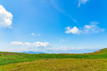 Fototapeta premium 【長野県 美ヶ原】雲上の高原風景