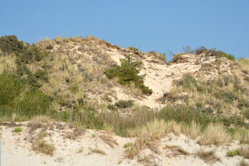 Fototapeta na wymiar sand dunes on the beachand blue sky