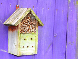Environmentally safe bug hotel for insects