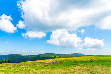 Fototapeta premium 【長野県 美ヶ原】雲上の高原風景