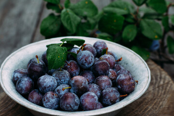 Ripe blue plum in a wooden box