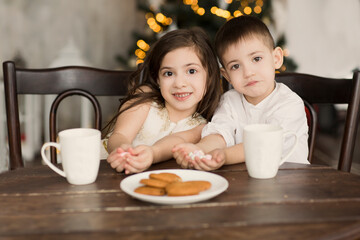 Cute little kids brother and sister drinking cocoa and eating sweets in home Christmas holiday. Christmas family portrait.
