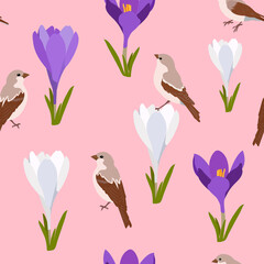 Seamless vector spring illustration with crocuses and birds