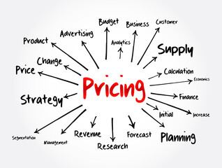 Obraz premium Pricing mind map flowchart, business concept for presentations and reports