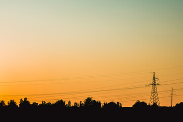 Silhouette of power lines and vegetation at sunset