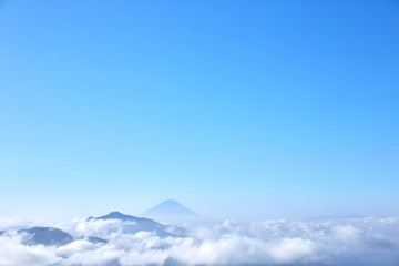 美し森の遊歩道から眺めた夏の富士山 山梨県北杜市