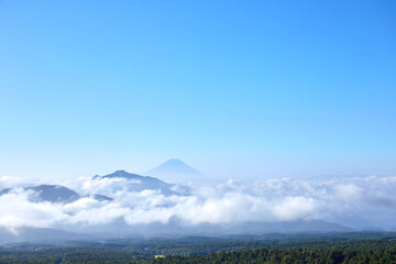 美し森の遊歩道から眺めた夏の富士山 山梨県北杜市