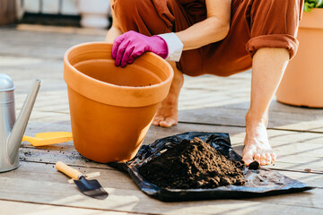 Woman's hands transplanting plant a into a new pot.