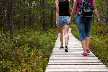 Two women walk a wooden path through the swamp, marsh tea plants growing around.