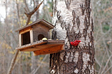 A birdhouse with food hanging on a birch tree