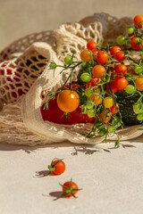 organic fresh vegetables in a cotton bag on a light background