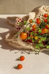 organic fresh vegetables in a cotton bag on a light background
