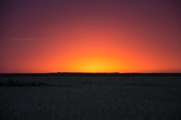 sunset over the wheat field