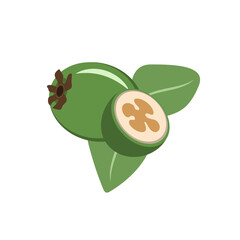 Cartoon icon of feijoa, vector illustration