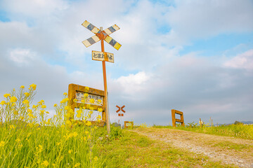 田舎の可愛い踏切と菜の花