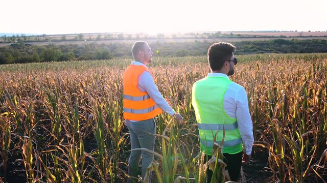 Wide frame with two farmers talking in the middle of a cornfield.