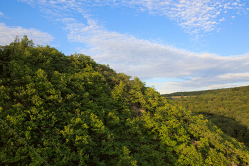 Fototapeta na wymiar Summer forest background, beautiful bird eye view on green trees .