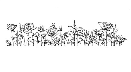 Black and white grass and flowers line black pen hand drawing isolated on white background