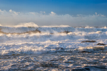 Fototapeta premium Breaking waves on the shore