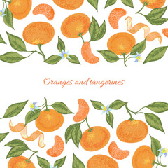 Oranges and tangerines vector fruit background frames template. Citrus collection