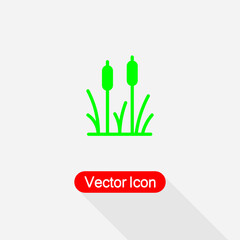 Reeds Plant Icon Vector Illustration Eps10