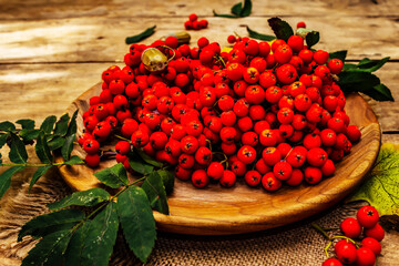 Ripe rowan berries and cherry plum fruits on round plate