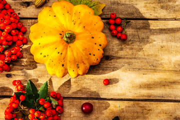 Fresh pumpkins, cherry plums, acorns and ripe rowan berries