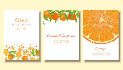Oranges and tangerines vector fruit background frames template. Citrus collection