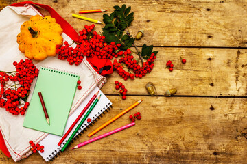 School stationery with pumpkins, rowan berries as zero waste lifestyle