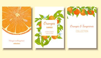 Oranges and tangerines vector fruit background frames template. Citrus collection