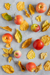 Apples and yellow dry leaves on a grey concrete background. Autumn pattern, texture. Top view, flat lay.