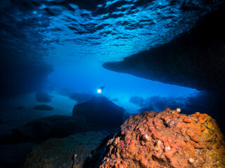 Seascape of coral reef in the Caribbean Sea / Curacao with Diver in cave 