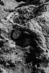 Closeup on rock rough natural mineral stone background, top view.