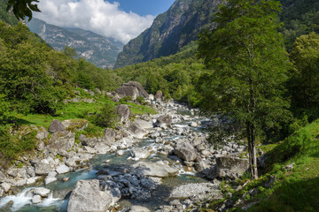 River in Bavona valley on the Swiss alps