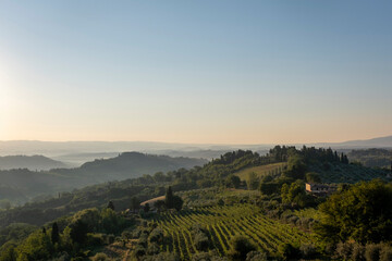 Naklejka premium Landscape in Tuscany at sunset in summer