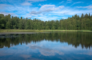 Obraz na płótnie Canvas Forest lake with reflections in the water. Rows of trees grow on the banks of the lake and the blue sky is reflected on the surface of the water. Calm peaceful meditative tranquil landscape.