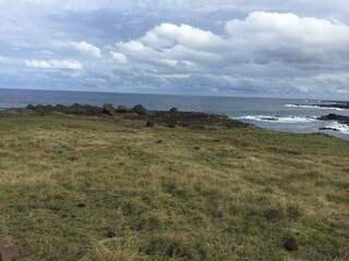 Obraz premium dhgfjb