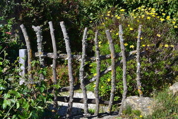 rustic garden fence and plants