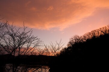 早朝の冬を色どる朝焼けの空