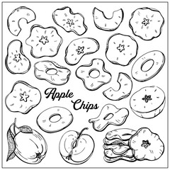 Apple chips. Organic food, vector doodle hand drawn sketch style illustrations collection isolated on white background.