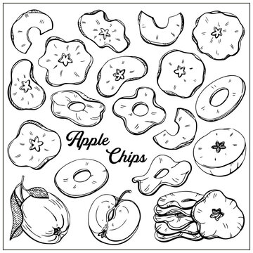 Apple chips. Organic food, vector doodle hand drawn sketch style illustrations collection isolated on white background.