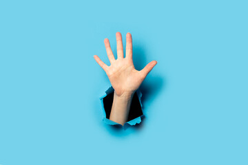 Fototapeta Women's palm on a blue background. Hurray gesture, five fingers obraz