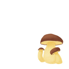 Fototapeta premium porcini mushrooms isolated on white