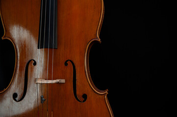 Fragment of a beautiful cello or violin on a black background